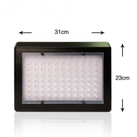 專業棚拍LED攝影燈架組內含2個LED燈2隻燈架和2個變壓器